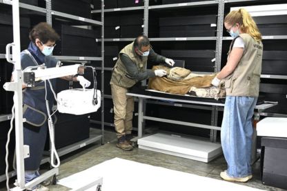 Voluntaria realizando rayos x a fardo funerario